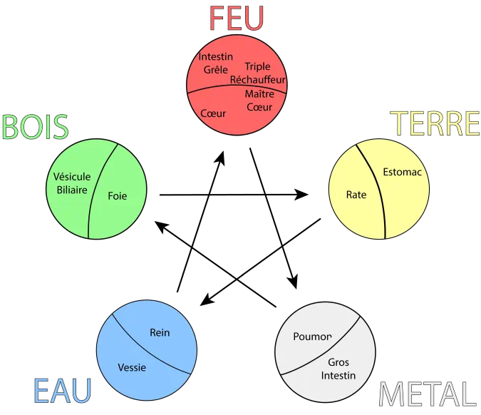 Le coaching